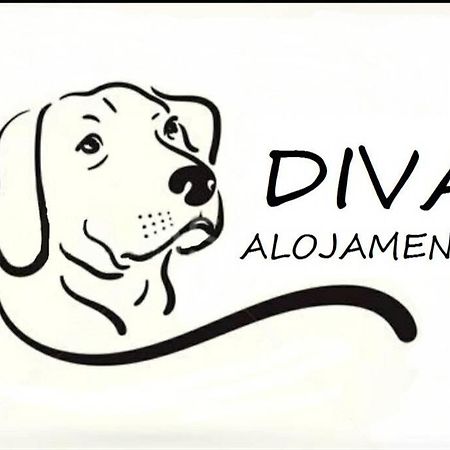 Diva Alojamento Matosinhos  Bagian luar foto